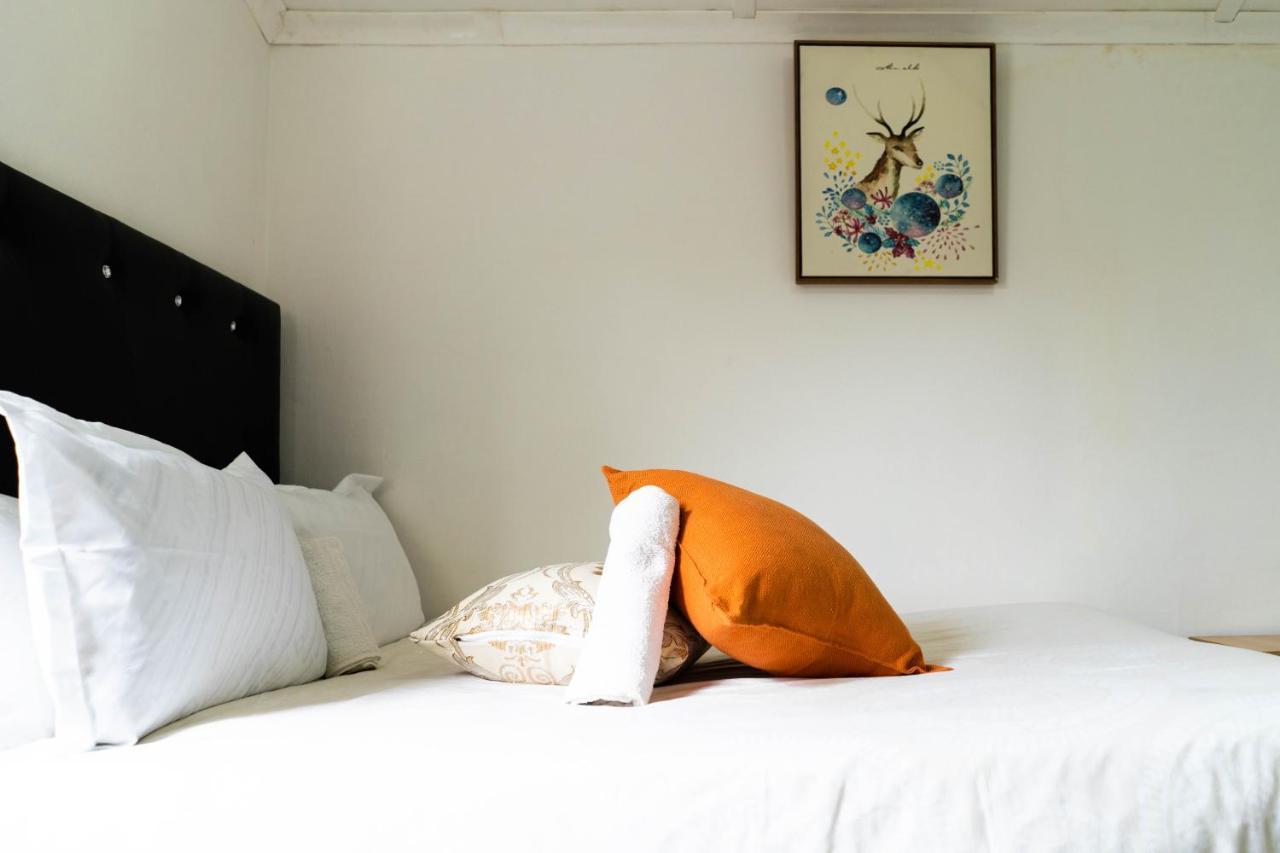 Albrine Lodge Bellville Esterno foto